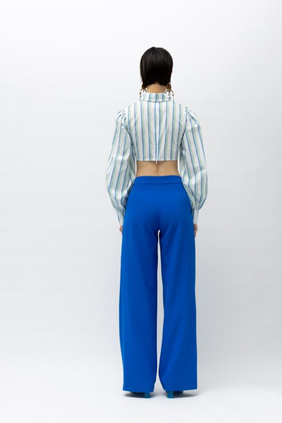 Kea Blue Stripes Crop Shirt - Image 4