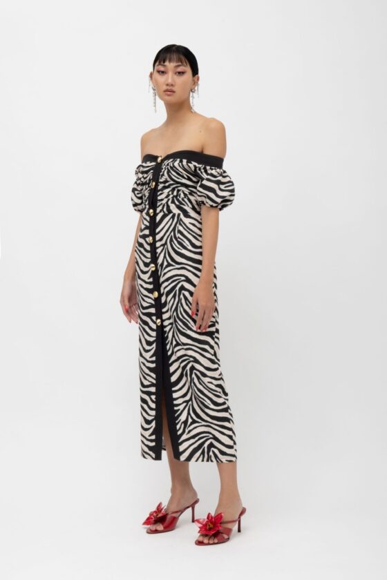 Masai Zebra Dress - Image 4