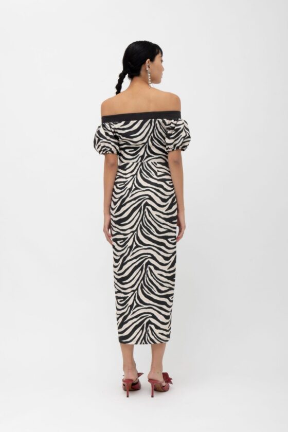 Masai Zebra Dress - Image 2